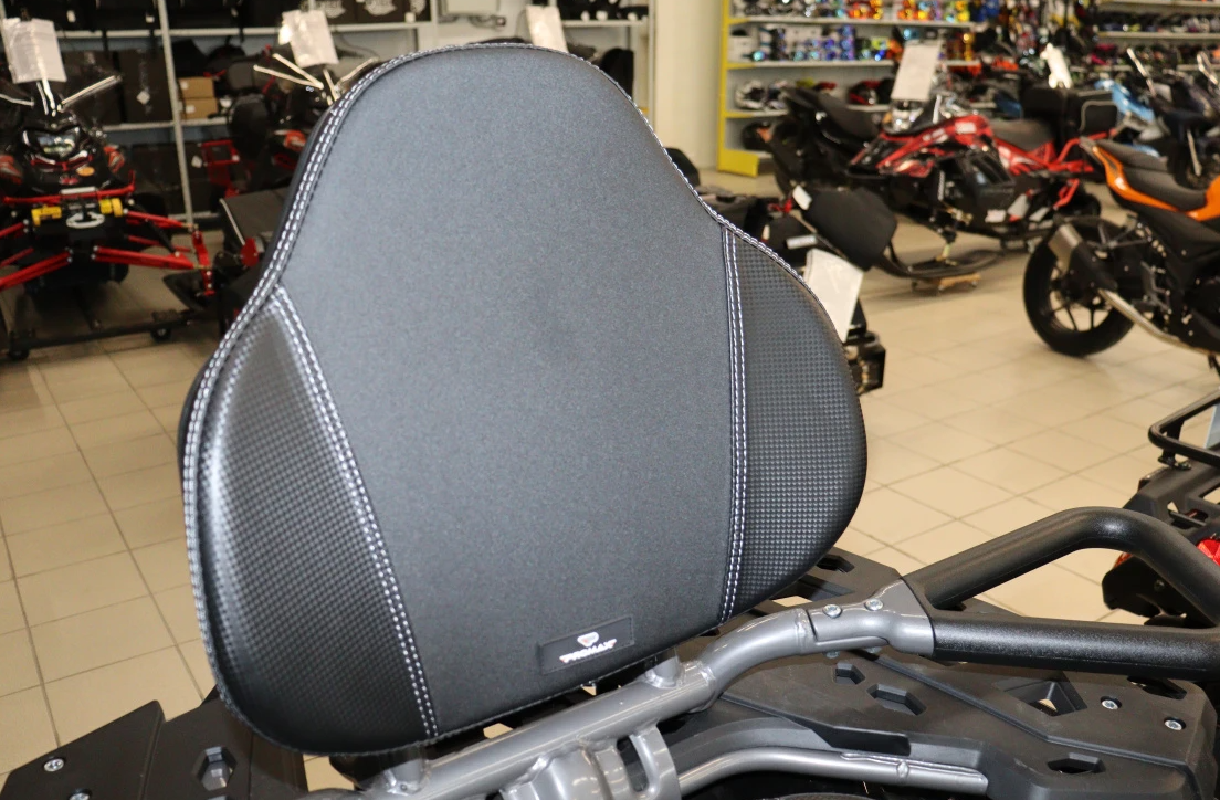 Квадроцикл PROMAX RENEGADE 300 LONG WINCH PRO (2025) в Калуге