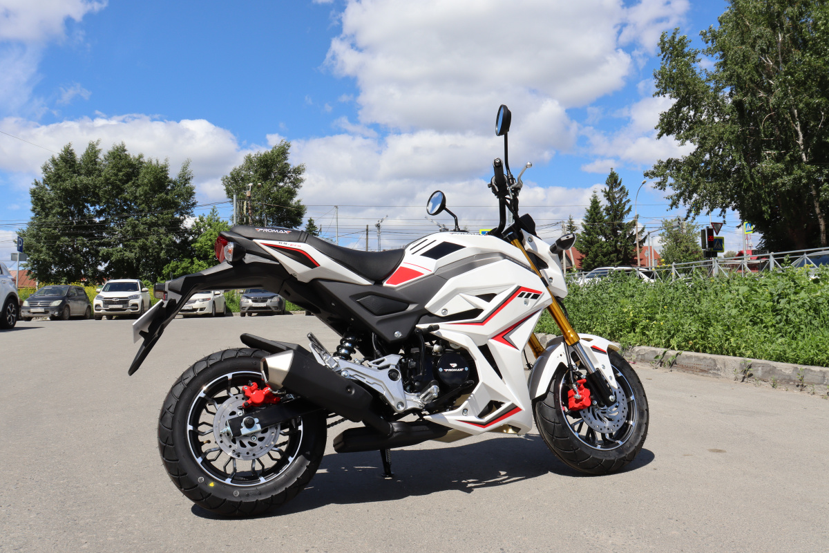 Мотоцикл PROMAX STRYKER 200(49) 2.0 в Калуге