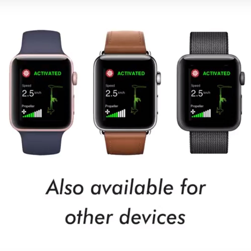 Лодочный электромотор якорь Haswing Cayman B, GPS, 12V, 55Lbs, нога 152 мм в Калуге