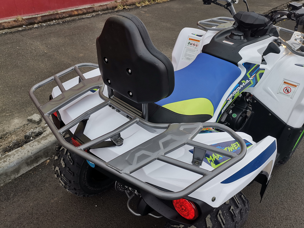 Квадроцикл PROMAX RENEGADE 280 LUX (2025) в Калуге