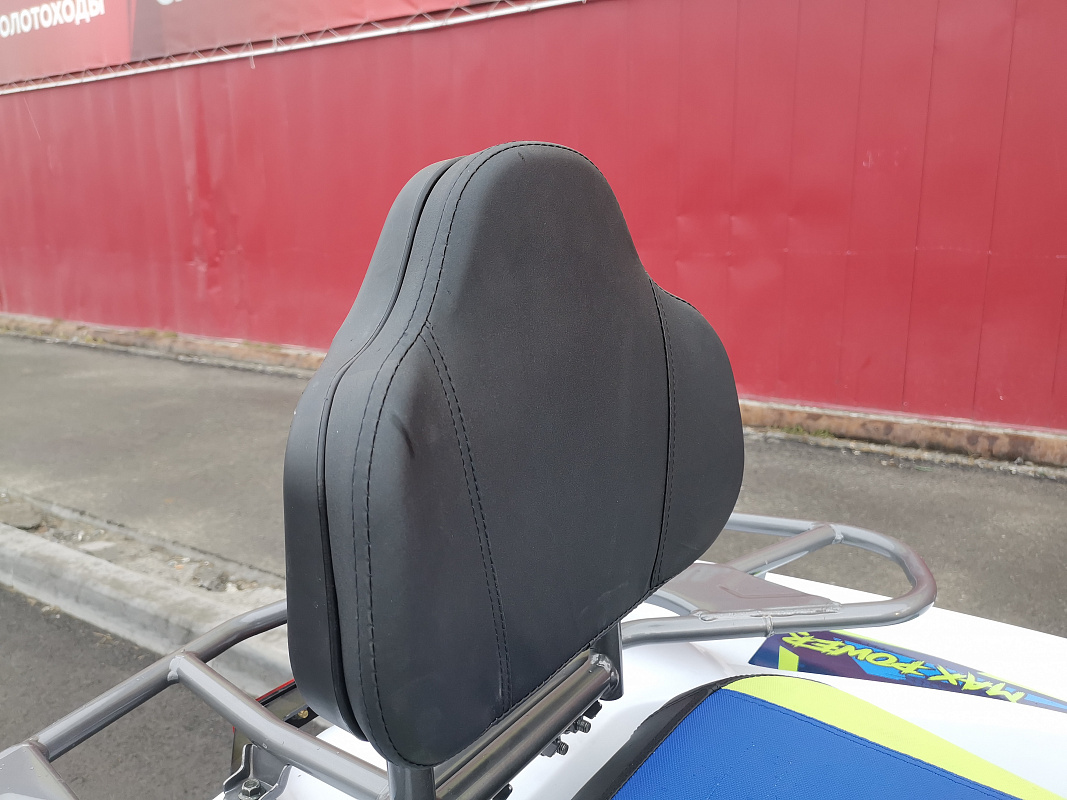 Квадроцикл PROMAX RENEGADE 280 LUX (2025) в Калуге