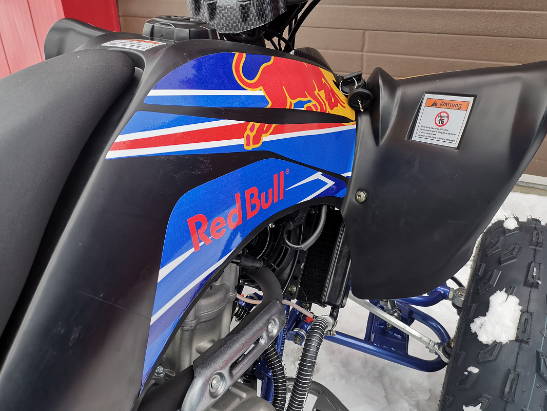 Квадроцикл PROMAX RAPTOR 300 NEW RedBull в Калуге