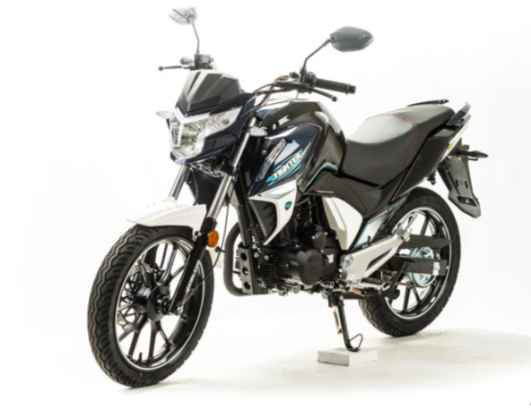 Мотоцикл MOTOLAND (МОТОЛЕНД) FIGHTER 250 в Калуге