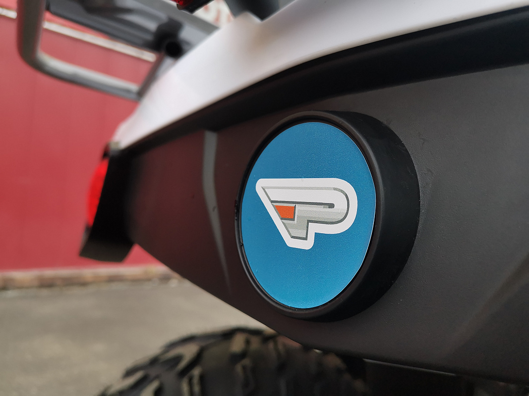 Квадроцикл PROMAX RENEGADE 280 LUX (2025) в Калуге