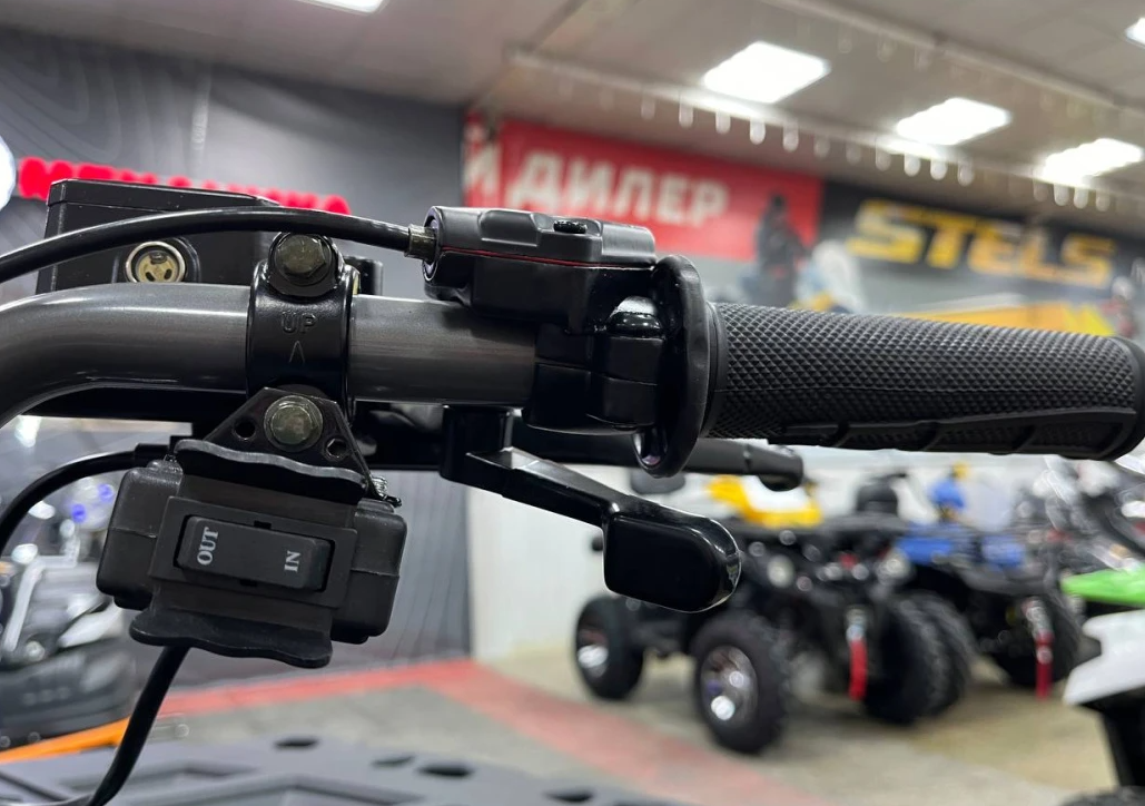 Квадроцикл PROMAX RENEGADE 300 LONG WINCH PRO (2025) в Калуге