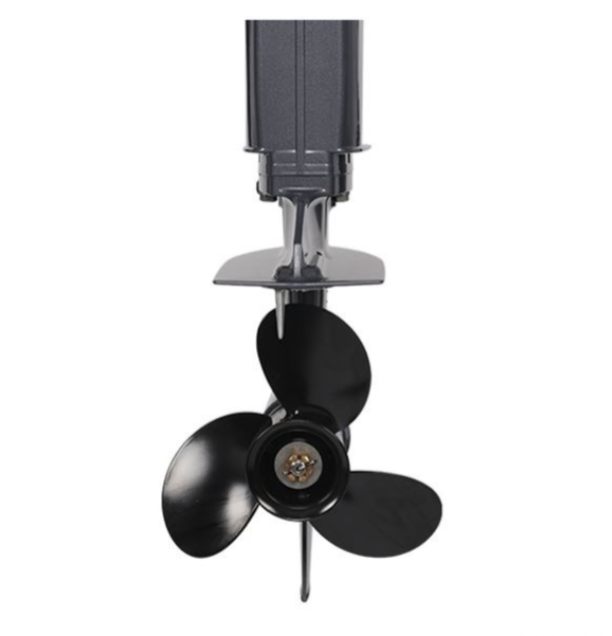 Лодочный мотор ALLFA CG Т40FW S в Калуге