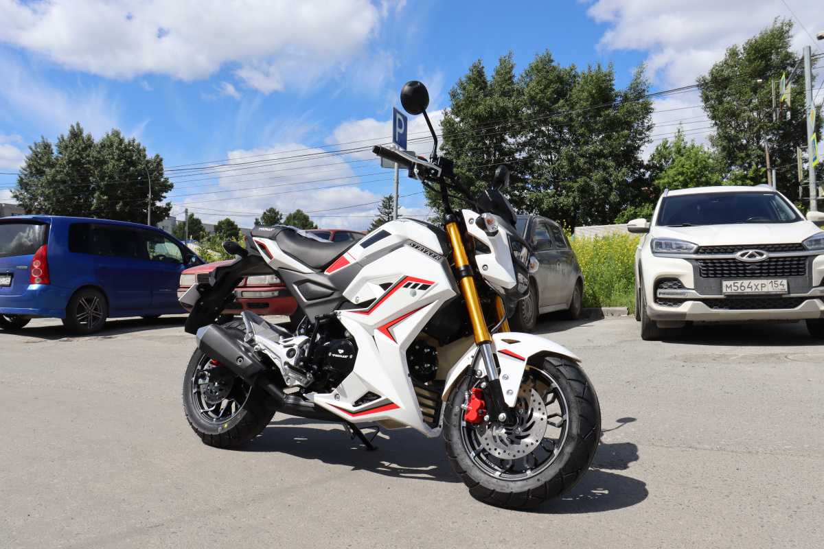 Мотоцикл PROMAX STRYKER 200(49) 2.0 в Калуге