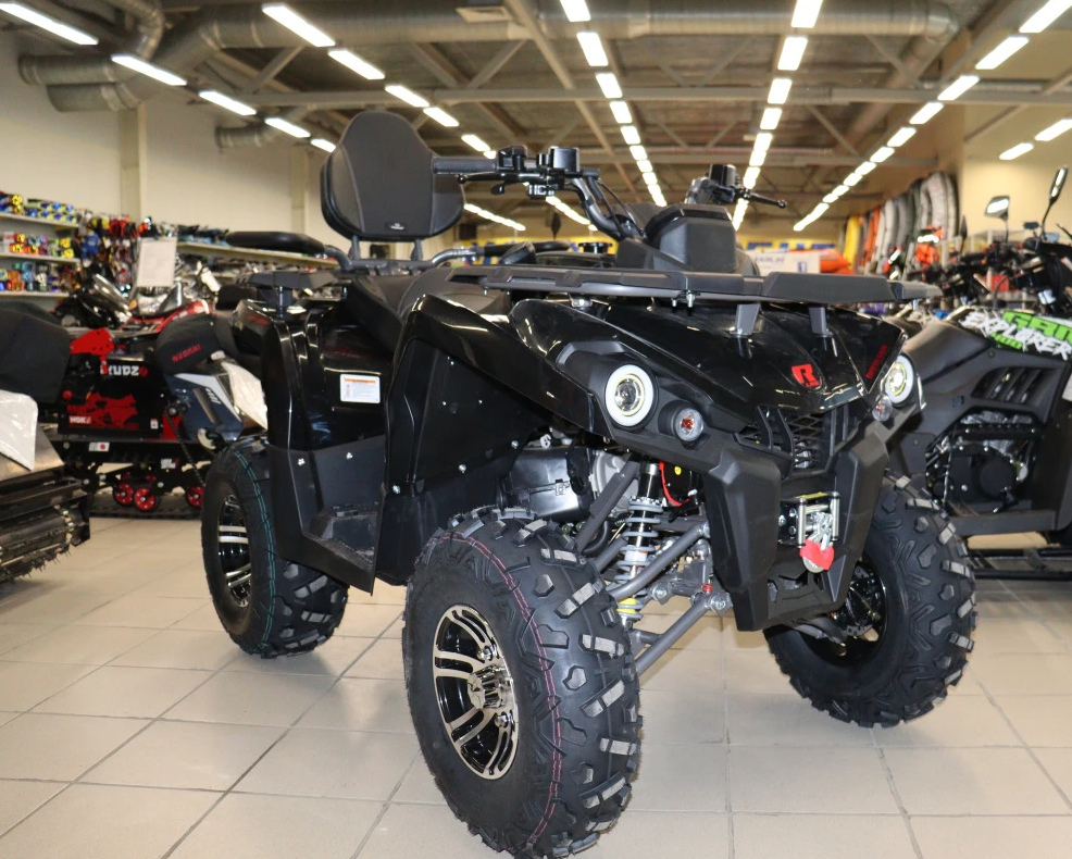Квадроцикл PROMAX RENEGADE 300 LONG WINCH PRO (2025) в Калуге