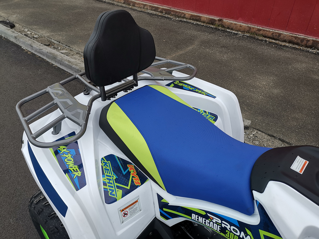 Квадроцикл PROMAX RENEGADE 280 LUX (2025) в Калуге