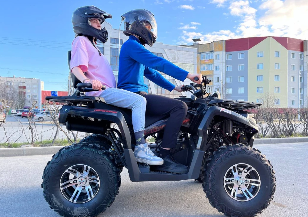 Квадроцикл PROMAX RENEGADE 300 LONG WINCH PRO (2025) в Калуге