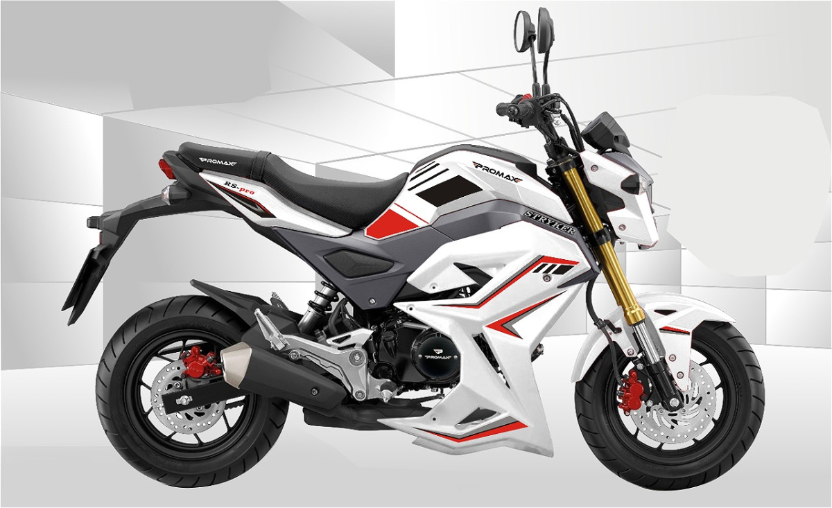 Мотоцикл PROMAX STRYKER 200(49) 2.0 в Калуге