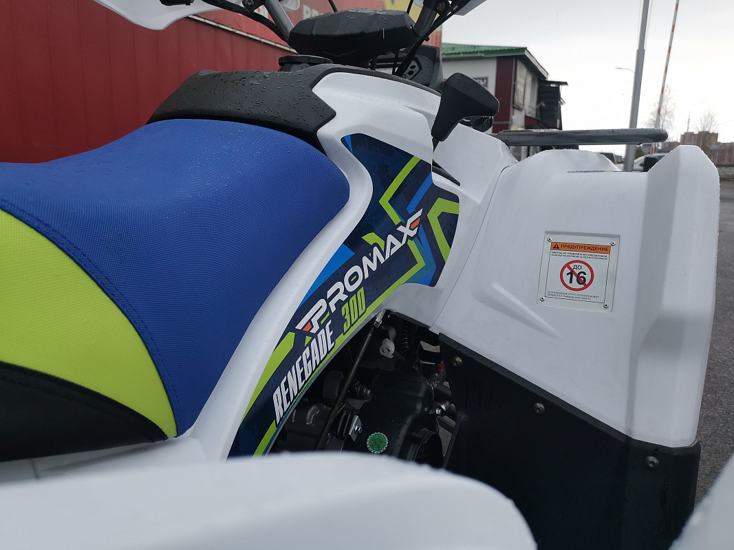 Квадроцикл PROMAX RENEGADE 280 LUX (2025) в Калуге