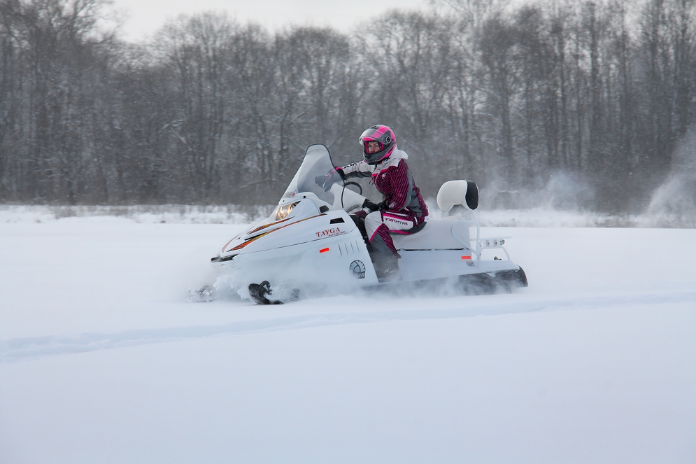 СНЕГОХОД РМ ТАЙГА ПАТРУЛЬ 551 SWT в Калуге