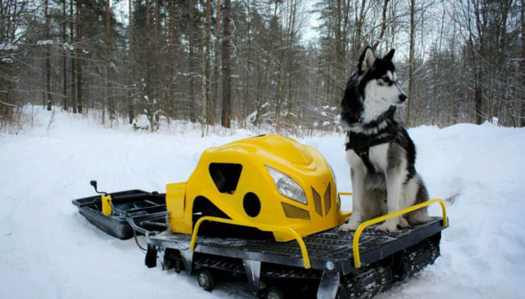 Мотобуксировщик LEBEDEV MOTORS ВОЛКОДАВ POWER V13 в Калуге