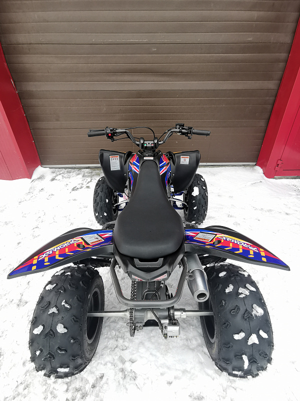 Квадроцикл PROMAX RAPTOR 300 NEW RedBull в Калуге