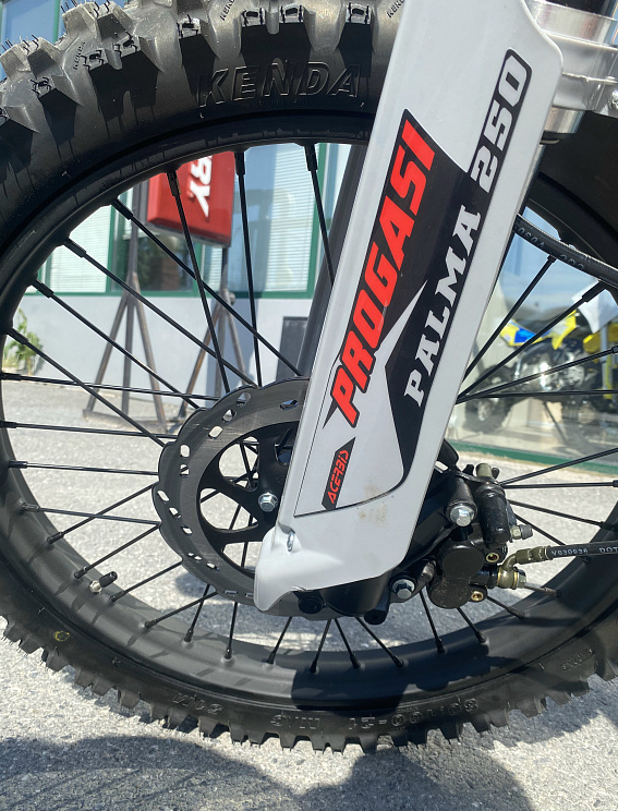 Мотоцикл Progasi PALMA 300 NEW (CB300F) в Калуге