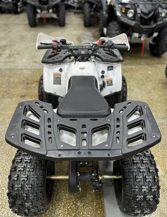 Квадроцикл PROMAX WILD 2.0 190 в Калуге