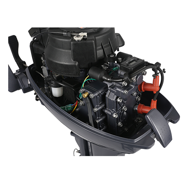 ЛОДОЧНЫЙ МОТОР ALLFA CG Т9,9 в Калуге