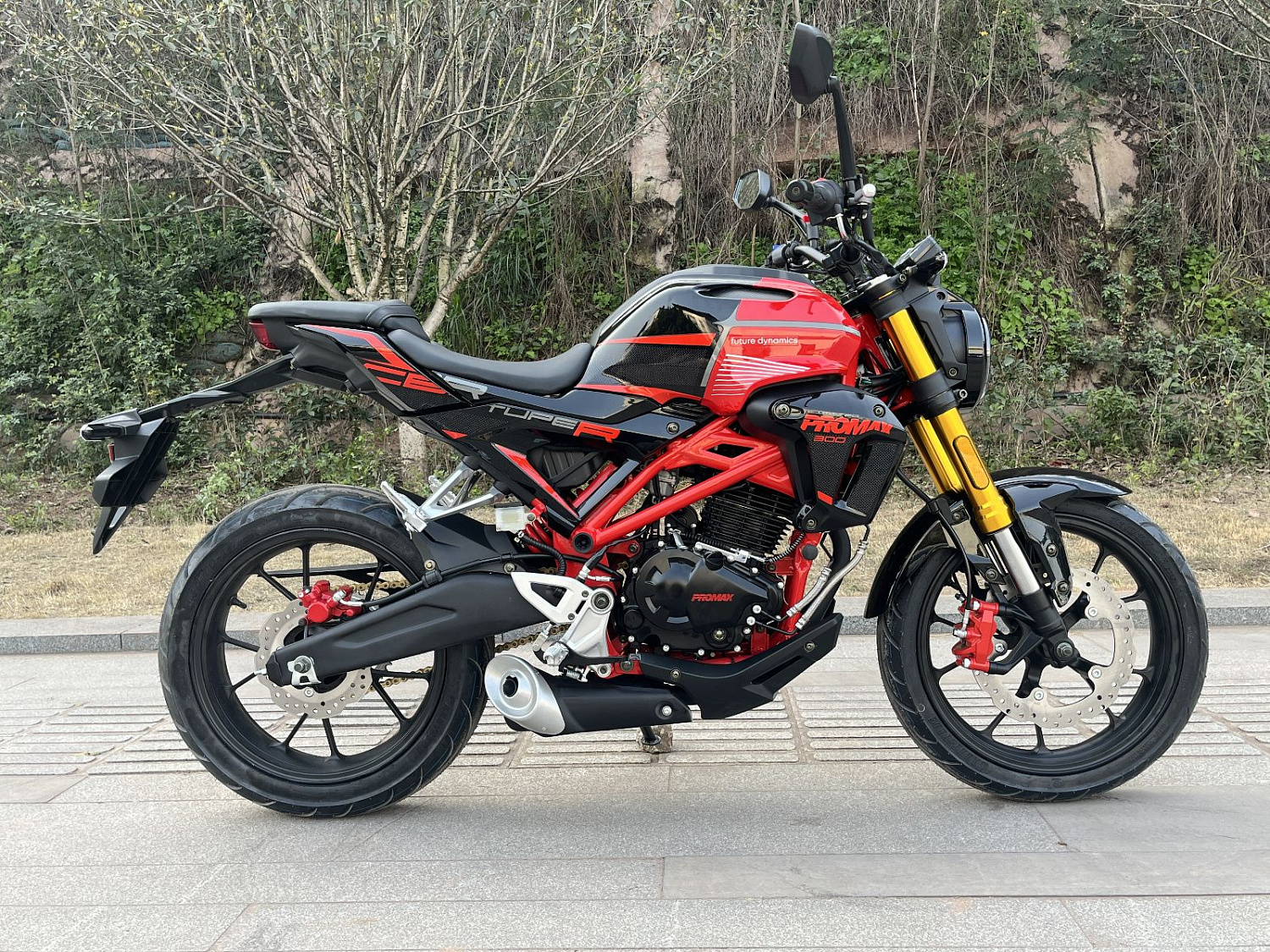 Мотоцикл PROMAX CB300RL (4V, 6G) в Калуге