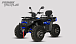 Квадроцикл PROMAX TAURUS 300 MAX-PRO LONG в Калуге