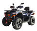 Квадроцикл MOTOLAND (МОТОЛЕНД) 300 MAX X в Калуге