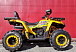 Квадроцикл PROMAX STORM 280 LUX в Калуге