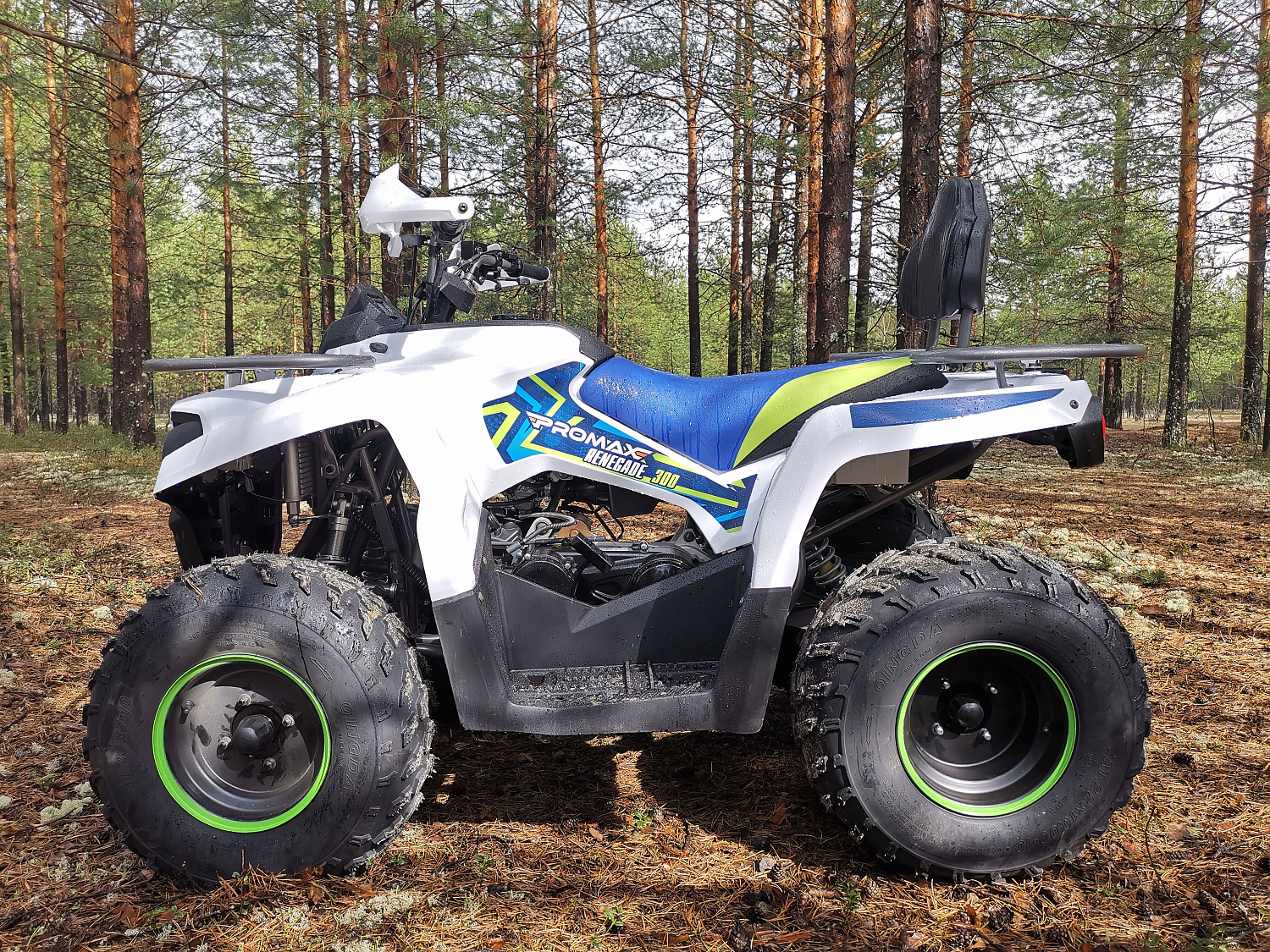 Квадроцикл PROMAX RENEGADE 280 (2025) в Калуге