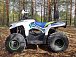 Квадроцикл PROMAX RENEGADE 280 (2025) в Калуге