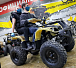 Квадроцикл PROMAX ATV 250 (2025) в Калуге