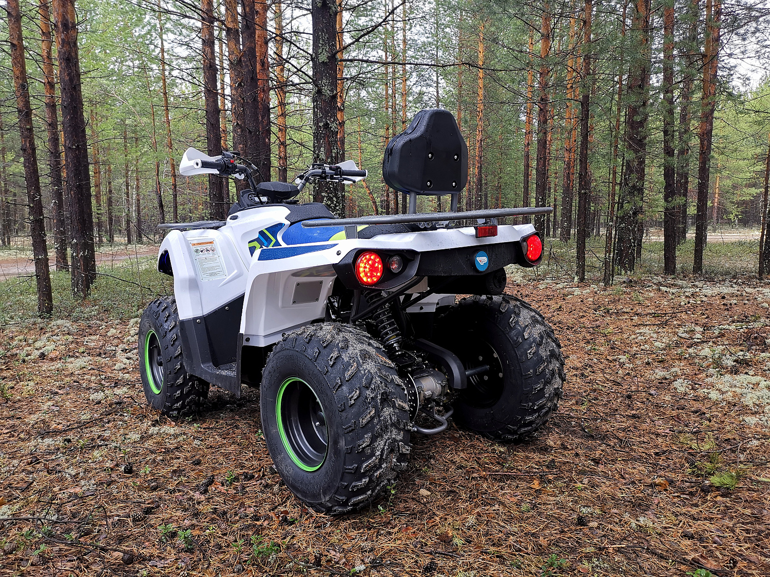 Квадроцикл PROMAX RENEGADE 280 (2025) в Калуге