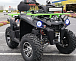 Квадроцикл PROMAX RENEGADE 280 WINCH PRO (2025) в Калуге