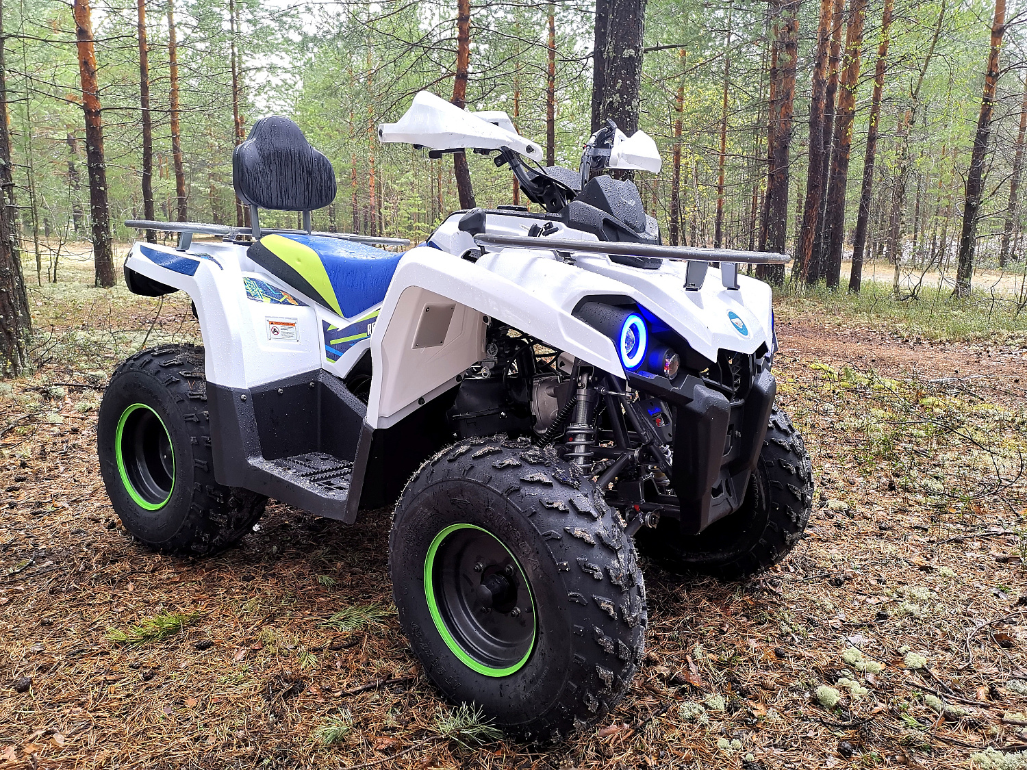 Квадроцикл PROMAX RENEGADE 280 (2025) в Калуге