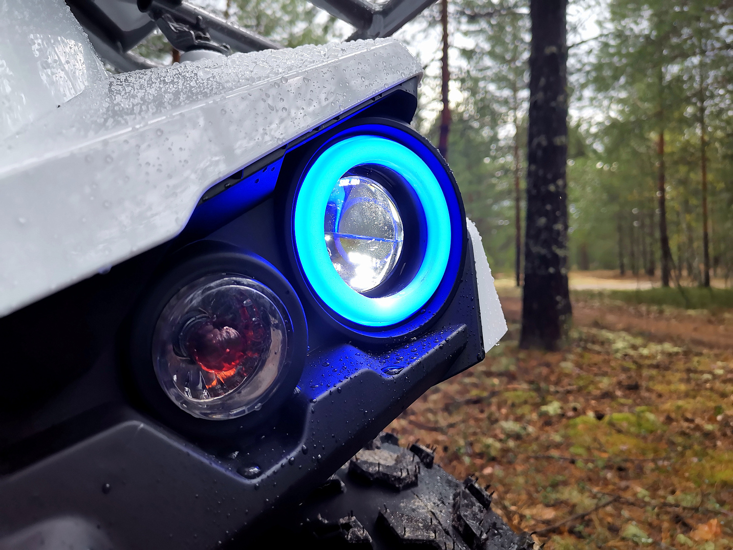 Квадроцикл PROMAX RENEGADE 280 (2025) в Калуге