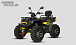 Квадроцикл PROMAX TAURUS 300 MAX-PRO LONG в Калуге